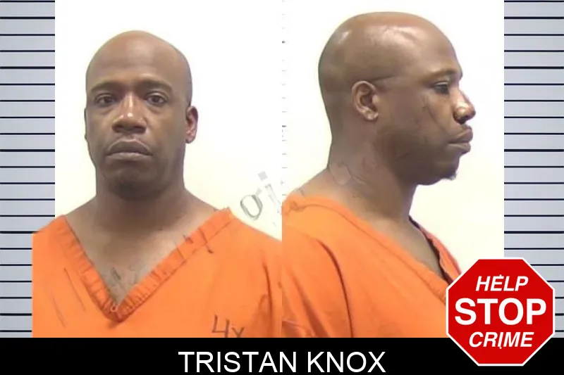 Tristan Knox mugshot