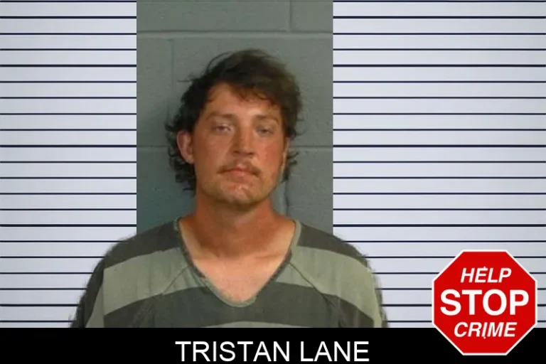 Tristan Lane
