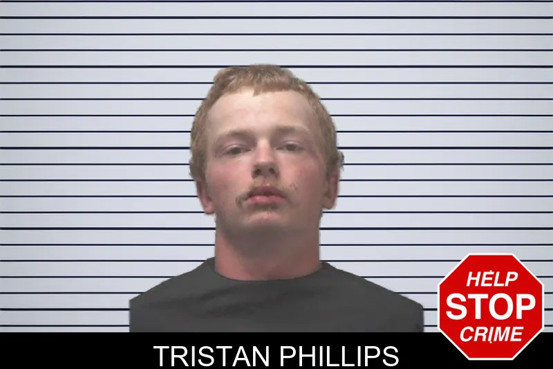 Tristan Phillips mugshot