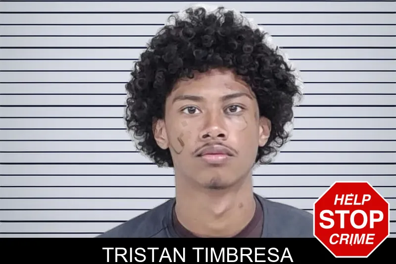 Tristan Timbresa mugshot – Lowndes County , Georgia Tristan Timbresa mugshot