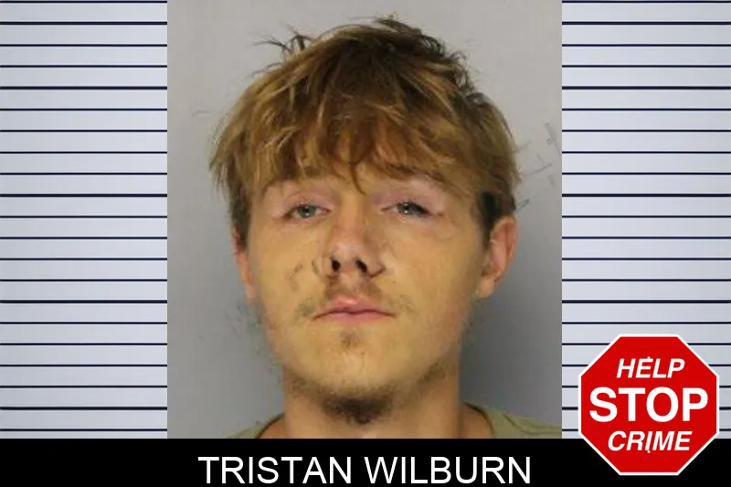Tristan Wilburn mugshot – Hall County , Georgia Tristan Wilburn mugshot