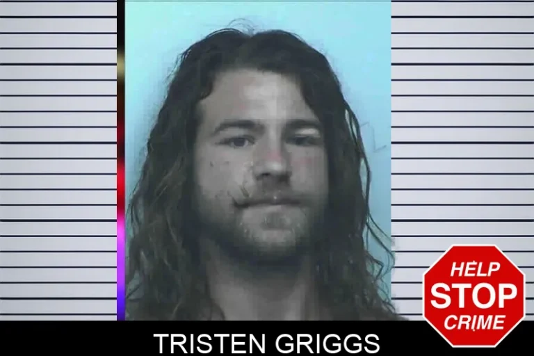 Tristen Griggs mugshot – Lanier County , Georgia Tristen Griggs