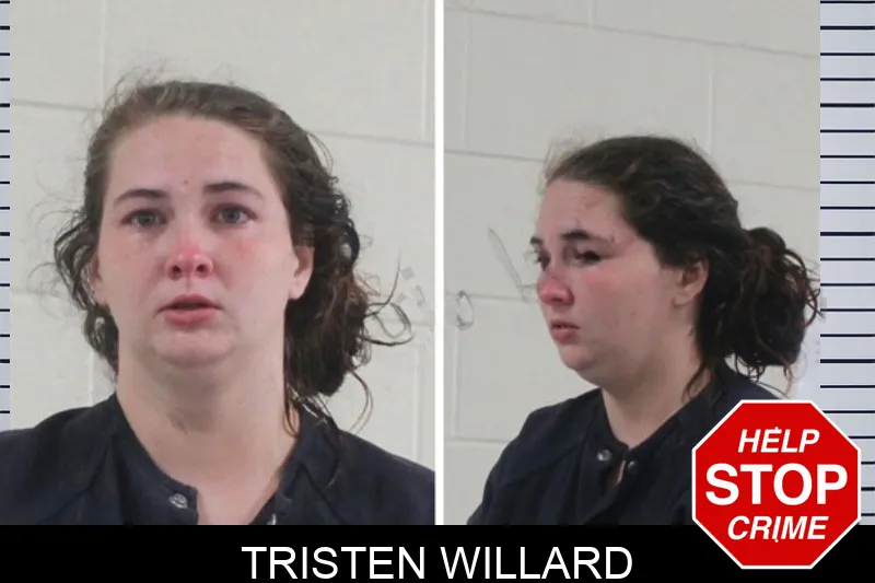 Tristen Willard mugshot