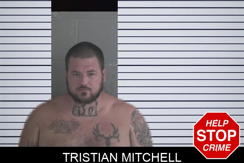 Tristian Mitchell mugshot