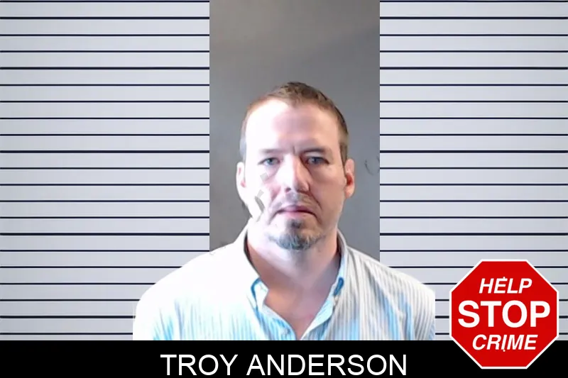 Troy Anderson mugshot