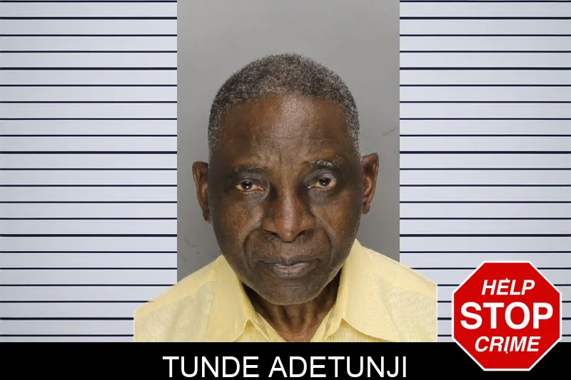 Tunde Adetunji mugshot