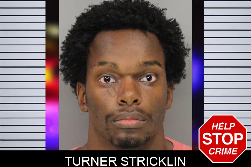 Turner Stricklin mugshot