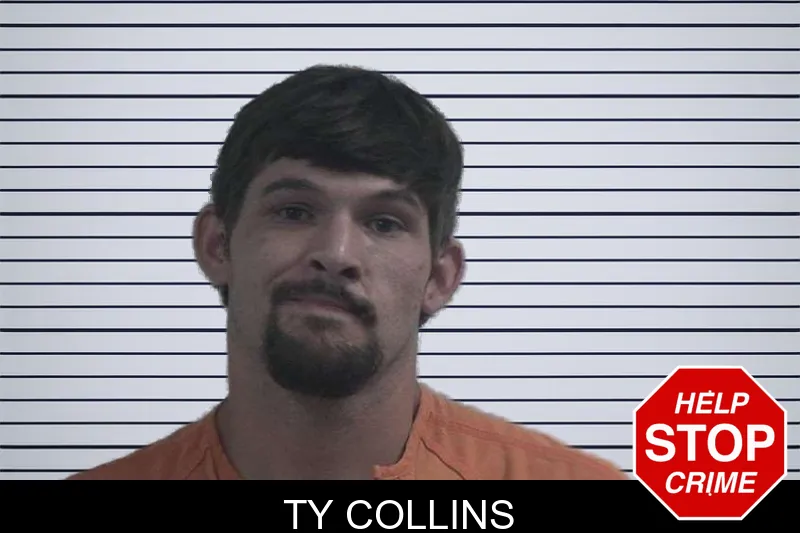 Ty Collins mugshot – McDuffie County , Georgia Ty Collins mugshot