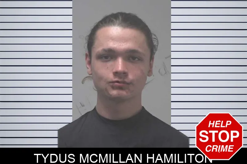 Tydus McMillan Hamiliton mugshot