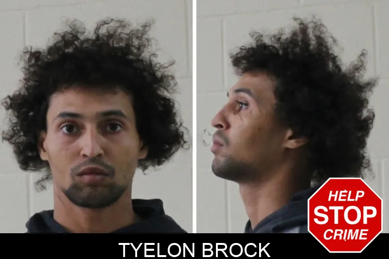 Tyelon Brock mugshot – Houston County , Georgia Tyelon Brock mugshot