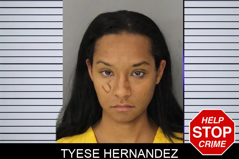 Tyese Hernandez mugshot