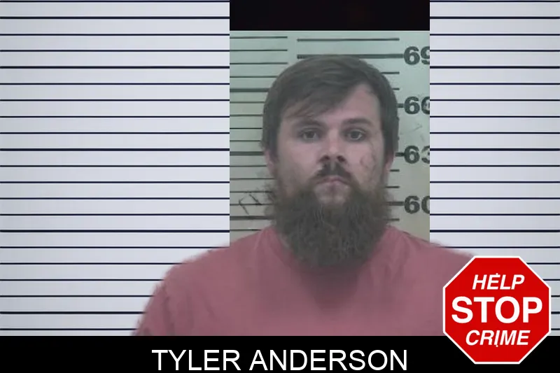 Tyler Anderson mugshot