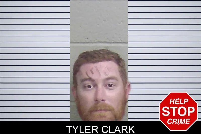 Tyler Clark mugshot – Wayne County , Georgia Tyler Clark mugshot