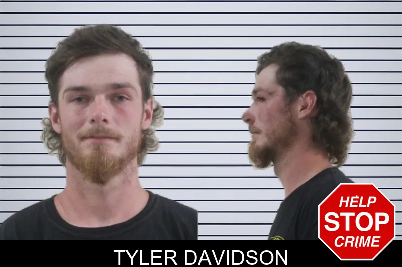 Tyler Davidson mugshot – Houston County , Georgia Tyler Davidson mugshot