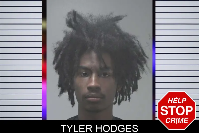 Tyler Hodges mugshot