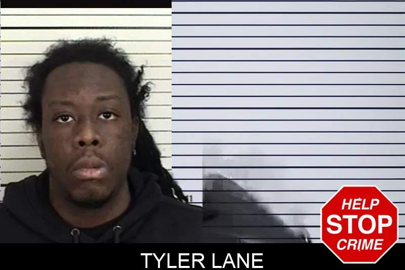 Tyler Lane mugshot – Camden County , Georgia Tyler Lane mugshot