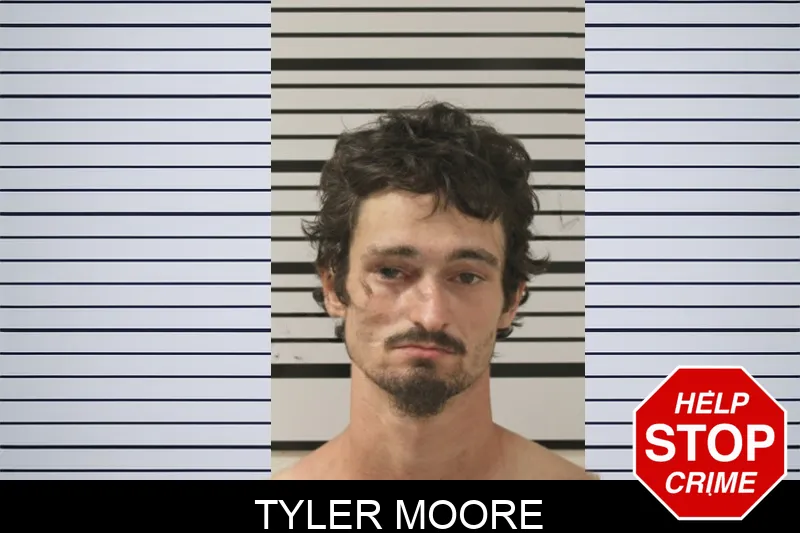 Tyler Moore mugshot