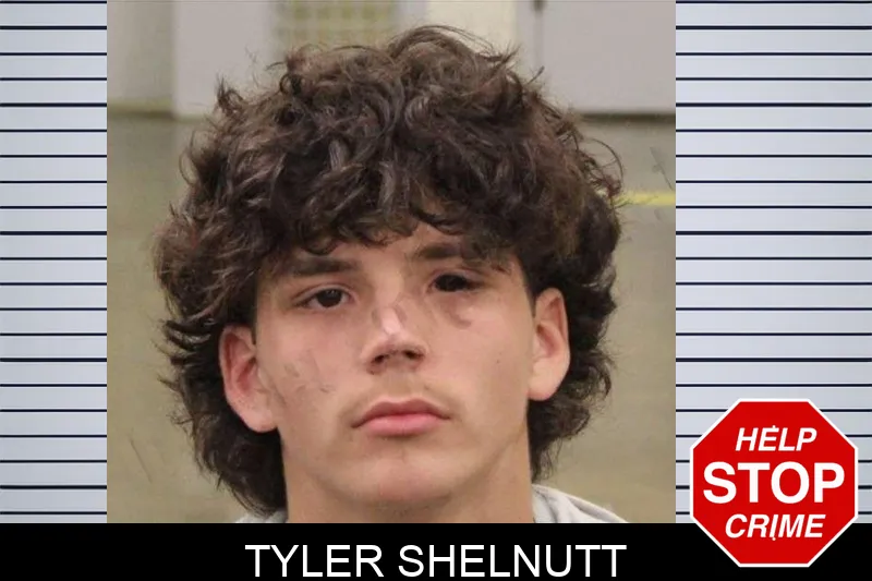 Tyler Shelnutt mugshot