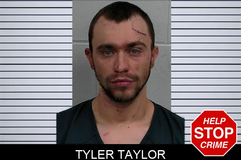 Tyler Taylor mugshot