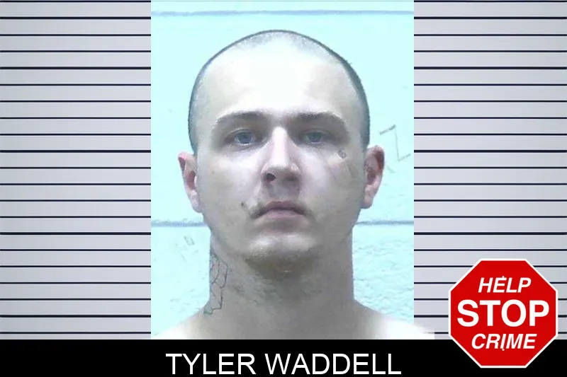 Tyler Waddell mugshot