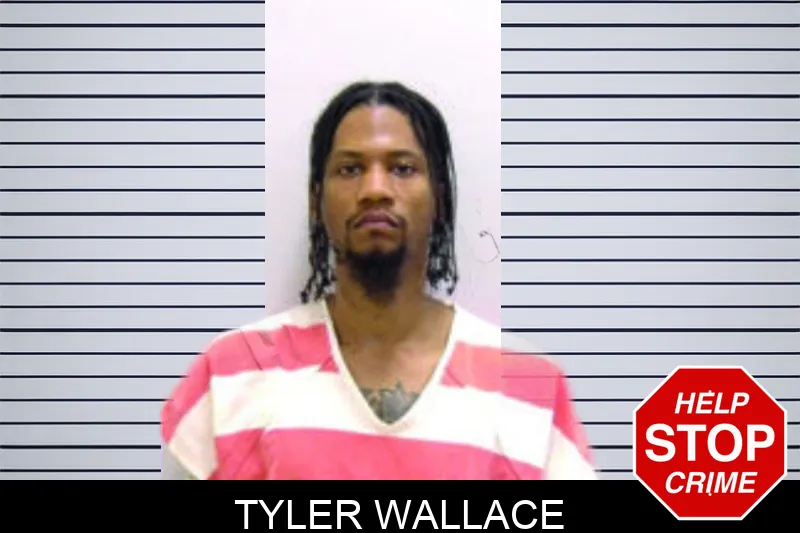 Tyler Wallace mugshot – Bartow County , Georgia Tyler Wallace mugshot