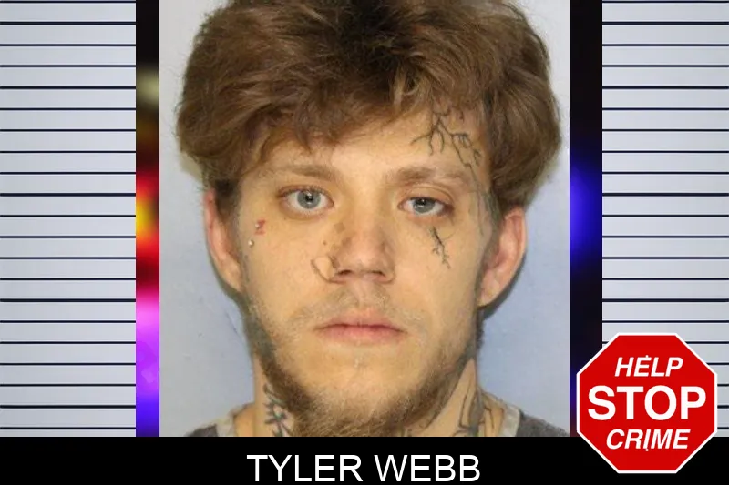 Tyler Webb mugshot – Hall County , Georgia Tyler Webb mugshot