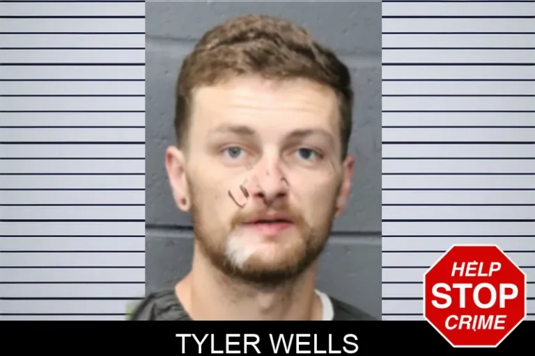 Tyler Wells mugshot – Forsyth County , Georgia Tyler Wells