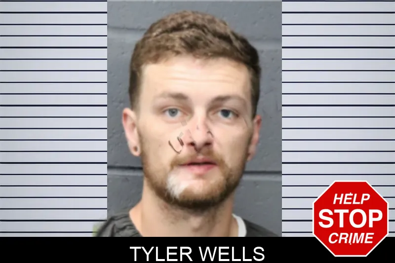 Tyler Wells mugshot