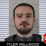 Tyler Wellwood mugshot