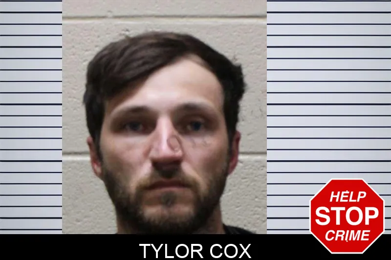 Tylor Cox mugshot