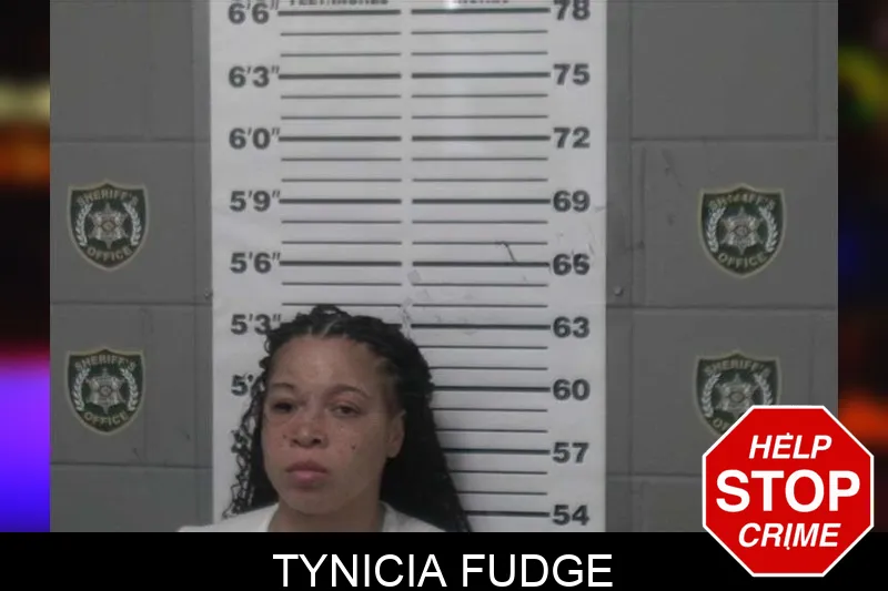 Tynicia Fudge mugshot