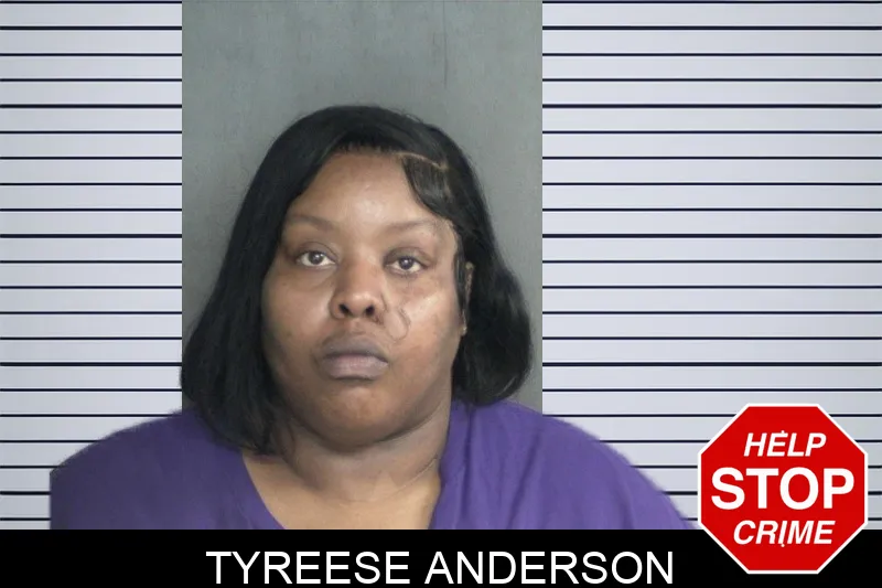 Tyreese Anderson mugshot