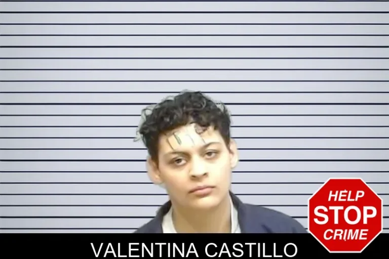 Valentina Castillo mugshot – Fulton County , Georgia Valentina Castillo