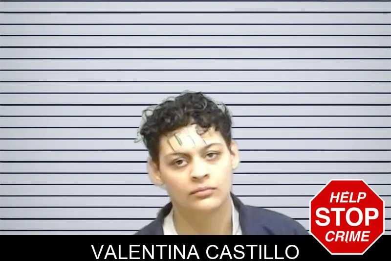Valentina Castillo mugshot