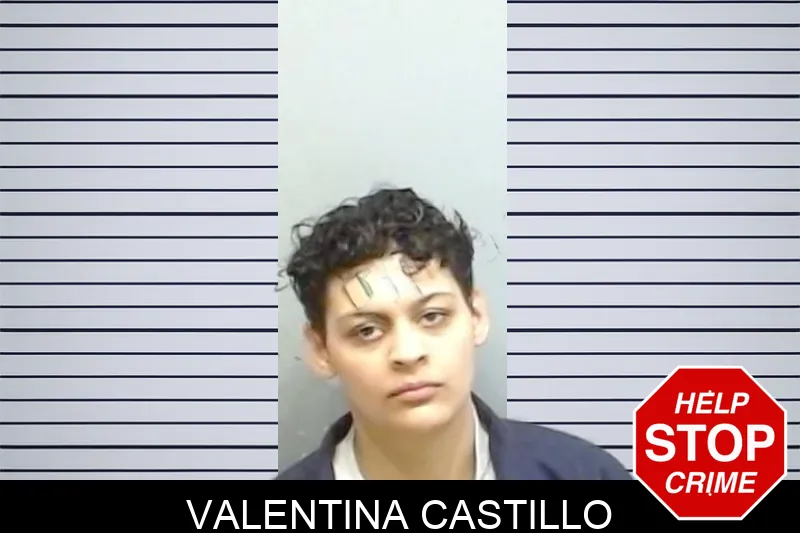 Valentina Castillo mugshot – Fulton County , Georgia Valentina Castillo mugshot
