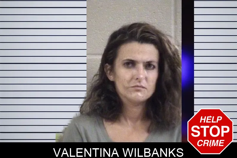 Valentina Wilbanks mugshot