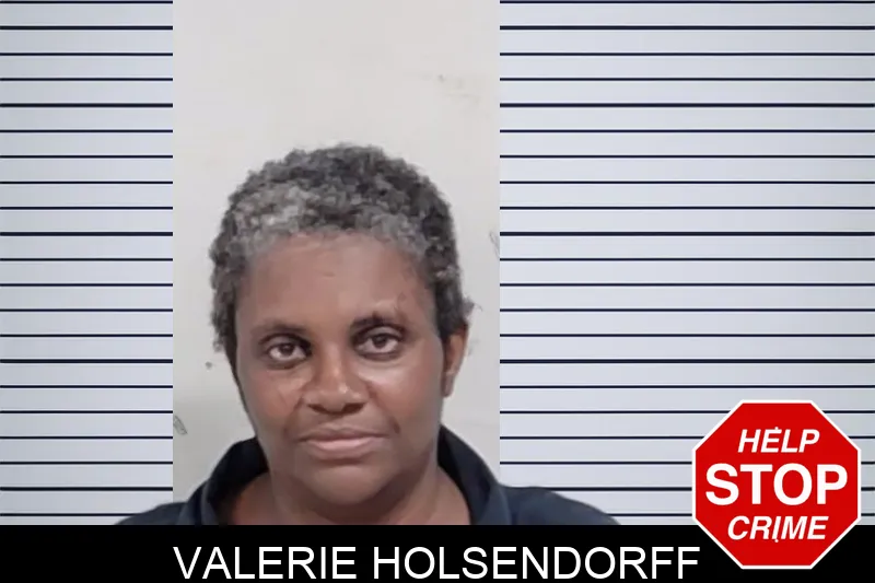 Valerie Holsendorff mugshot