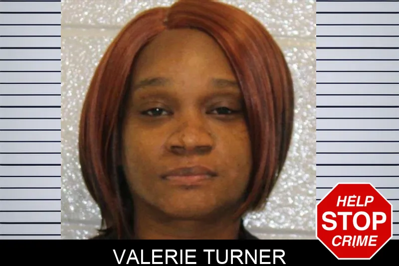 Valerie Turner mugshot