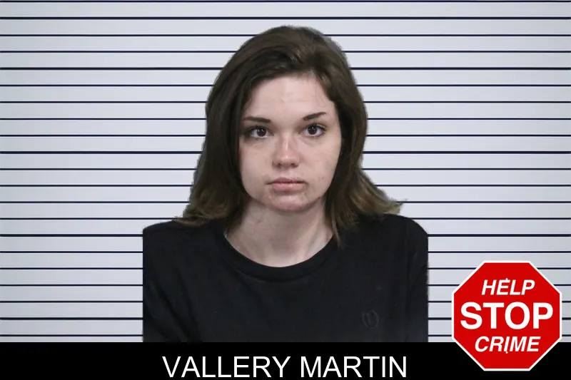 Vallery Martin mugshot – Catoosa County , Georgia Vallery Martin mugshot