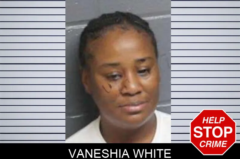 Vaneshia White mugshot – Bacon County , Georgia Vaneshia White mugshot