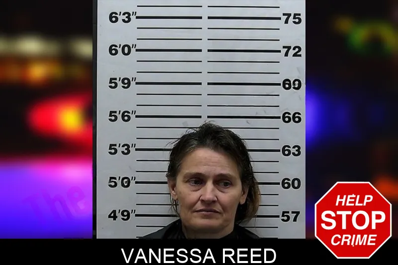 Vanessa Reed mugshot