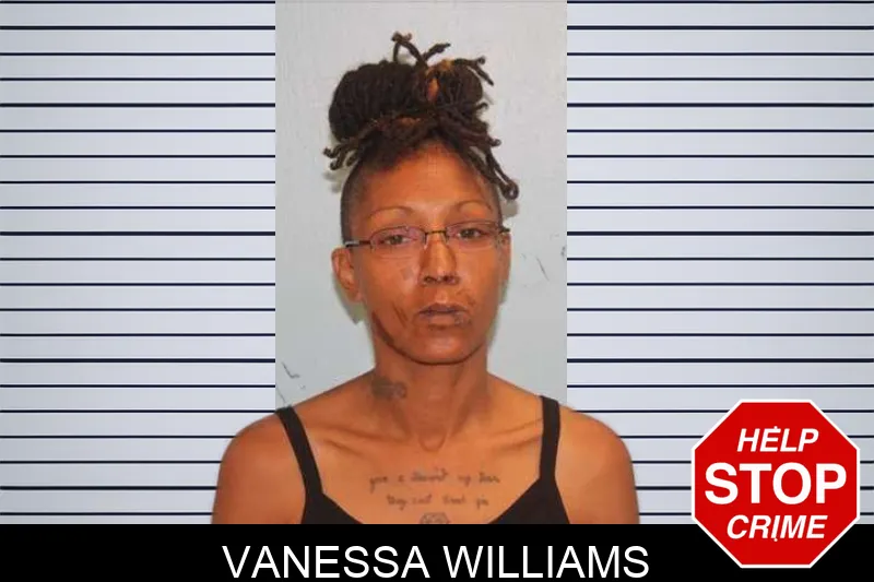 Vanessa Williams mugshot – Grady County , Georgia Vanessa Williams mugshot