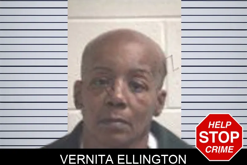 Vernita Ellington mugshot