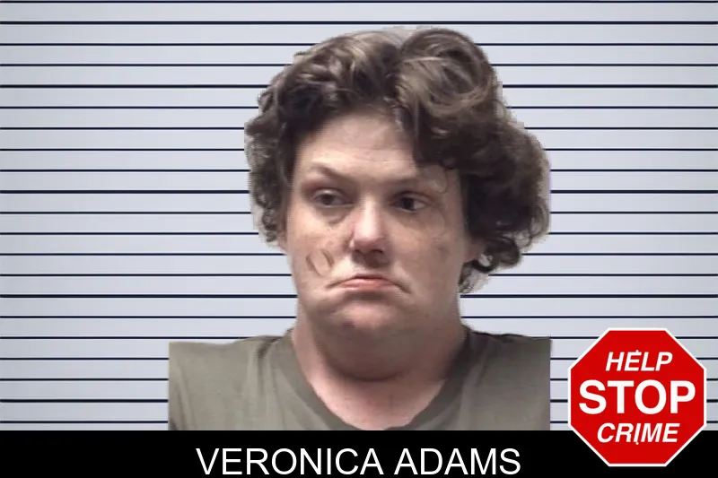 Veronica Adams mugshot – Coweta County , Georgia Veronica Adams mugshot