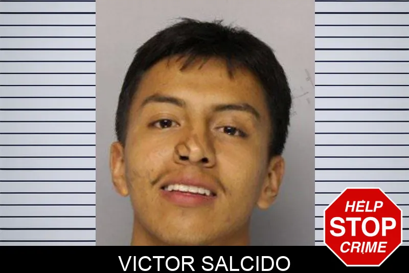 Victor Salcido mugshot – Hall County , Georgia Victor Salcido mugshot