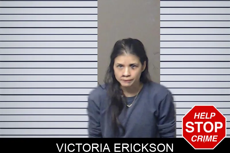 Victoria Erickson mugshot
