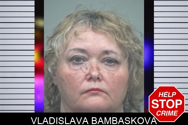 Vladislava Bambaskova mugshot – Gwinnett County , Georgia Vladislava Bambaskova mugshot