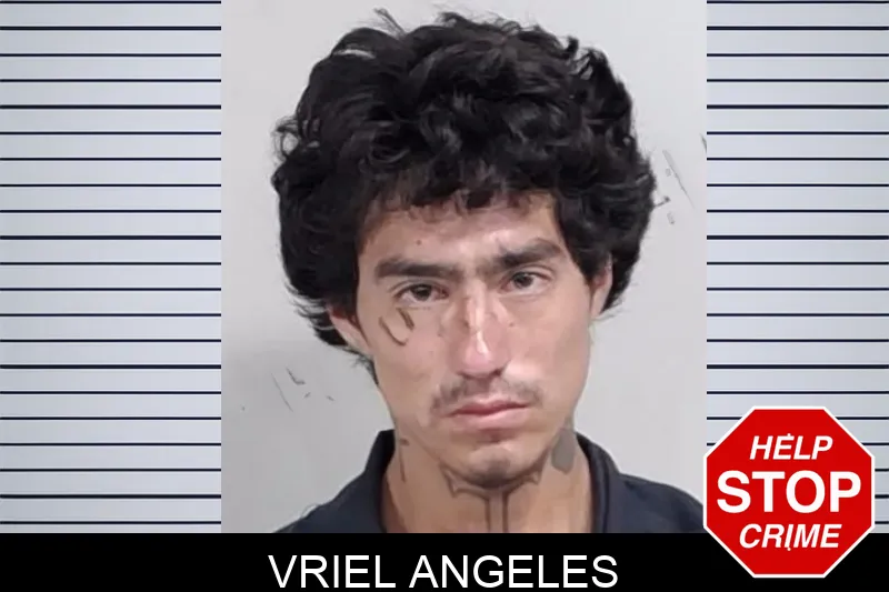 Vriel Angeles mugshot