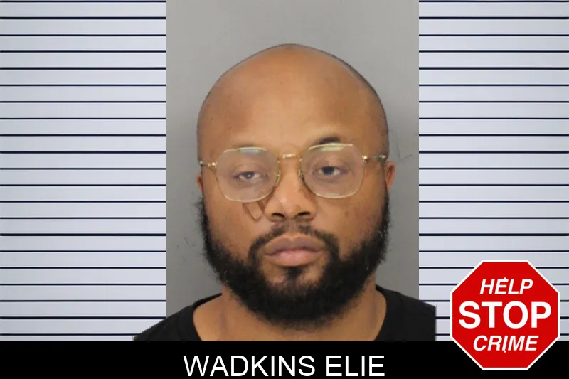 Wadkins Elie mugshot – Cobb County , Georgia Wadkins Elie mugshot