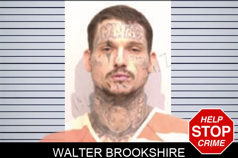 Walter Brookshire mugshot – Bartow County , Georgia Walter Brookshire mugshot